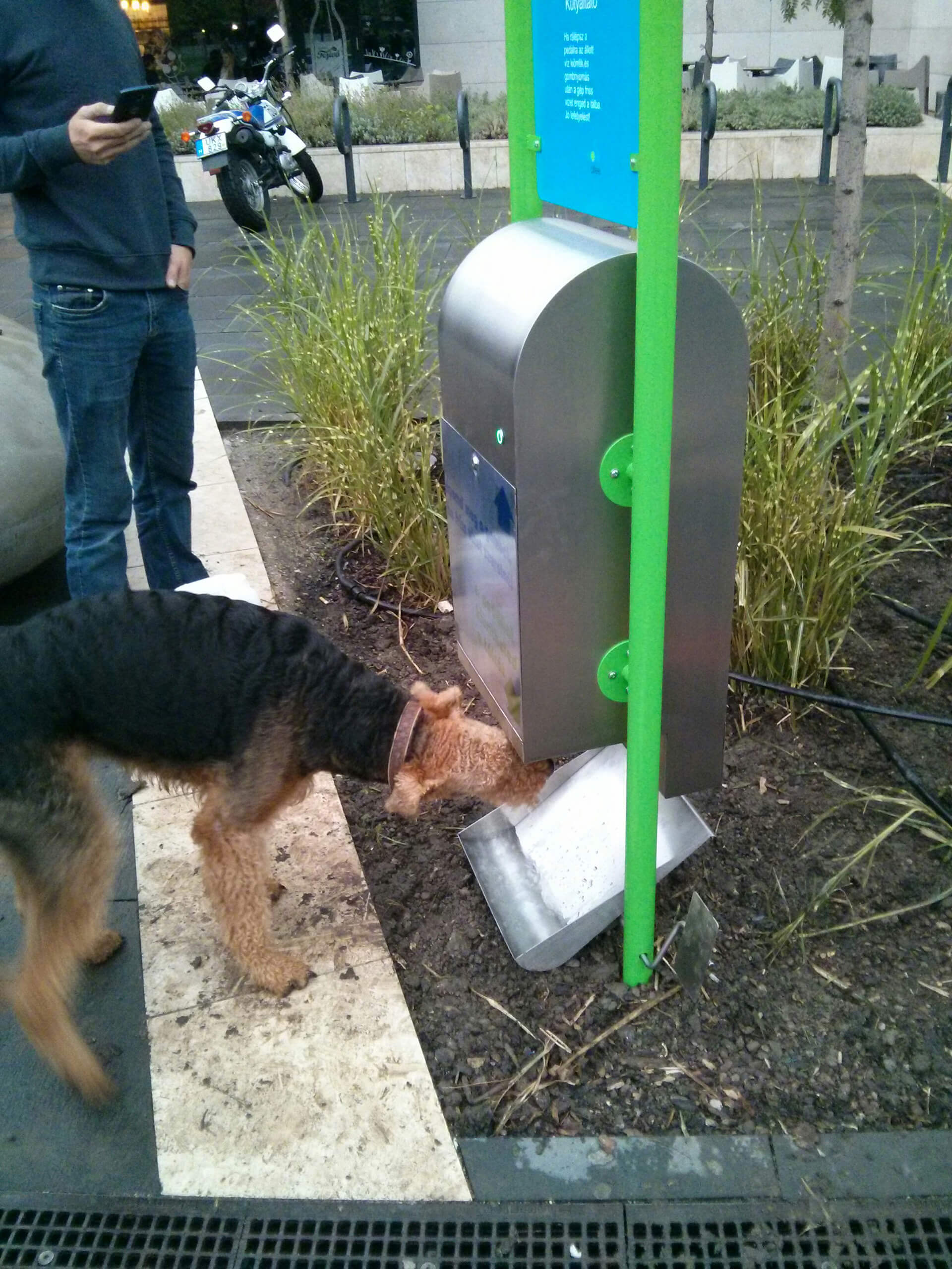 Sweet droid for thirsty dogs